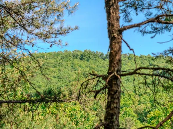 87 Valley Lake Trl, Mineral Bluff, GA 30559