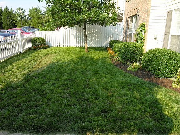 Front Yard