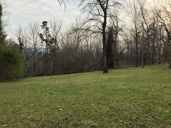 Mountain View from backyard.
