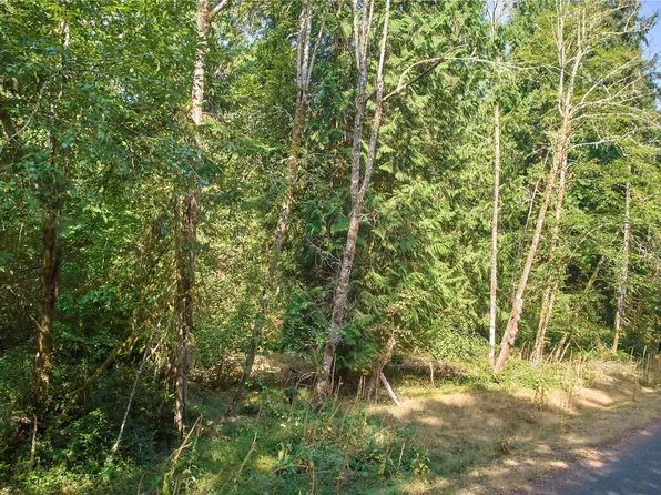 10114 Selma Circle, Anderson Island, WA 98303