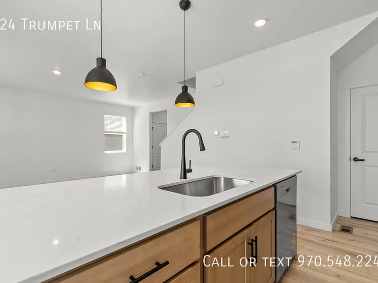 824 Trumpet Ln — Photo 13