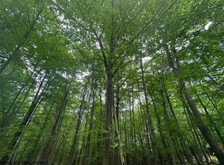 46 Daylily Ct, Terra Alta, WV 26764