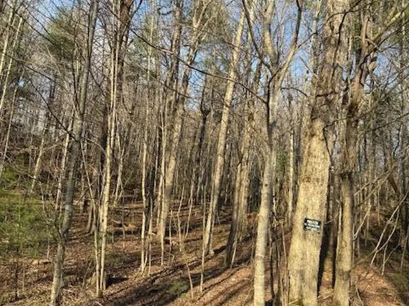 Bear Hollow Rd, Oneida, TN 37841