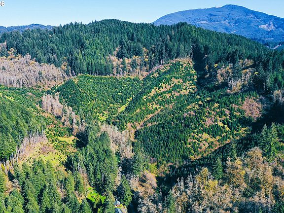 4th image of Marys Peak Rd #Tl501