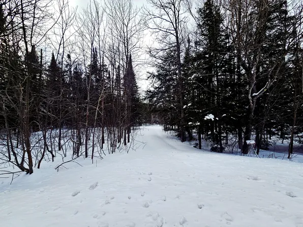 N 7982 Cord #H-33, Curtis, MI 49820