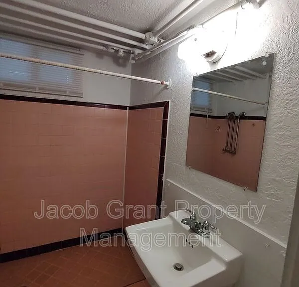 618 S 4th Ave #4 — Photo 8