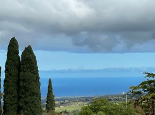 33 Kai Nana Pl, Kula, HI 96790