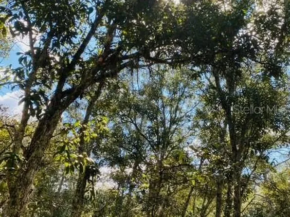 Coyote Rd #10, Hudson, FL 34667