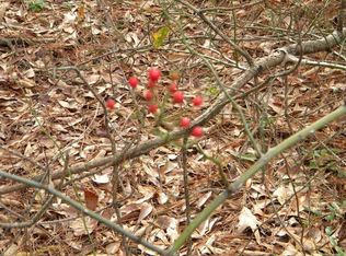 395 Taylor Pond Rd, North Augusta, SC 29860