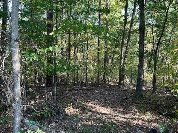 16 Judy Dr #16, Bella Vista, AR 72715