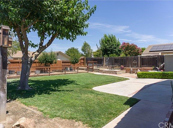 North east View of backyard