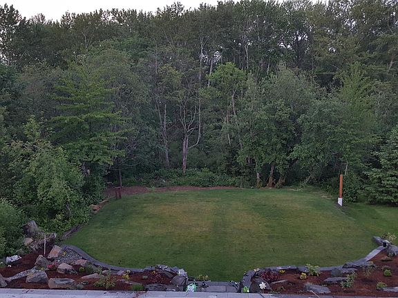 Backyard surrounded by forested greenspace