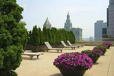 Rented by LL Real Estate Services