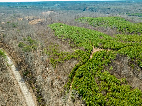 3rd image of 0 State Line Rd