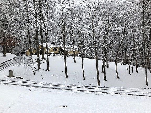 Winter Wonderland