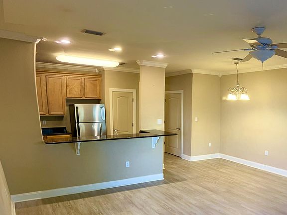4th image of 247 Mattie M Kelly Blvd #247