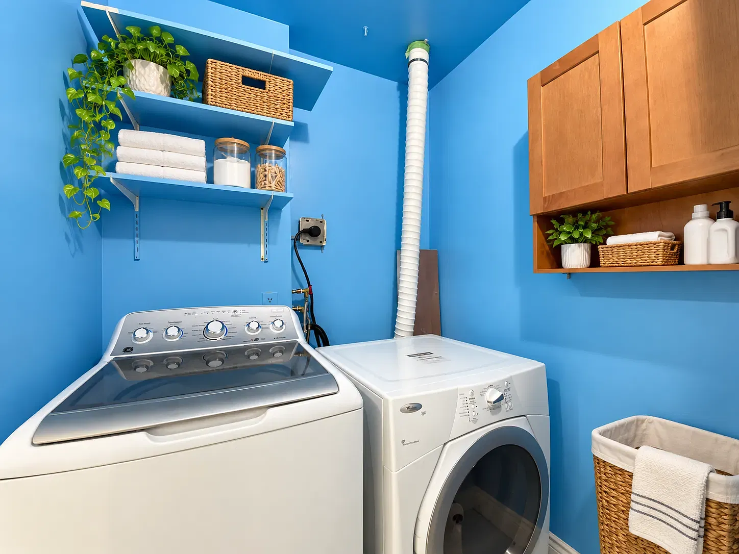 3 bed, 1100 sqft, $2,900 — Photo 3
