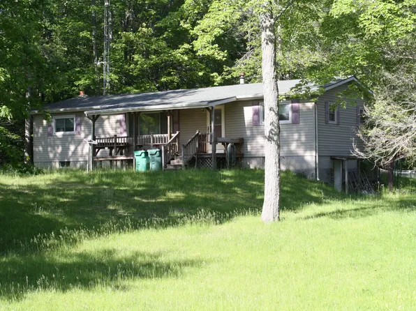 2975 S Coville Rd, Mikado, MI 48745