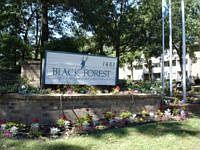 1st image of 1601 N Innsbruck Dr APT 240