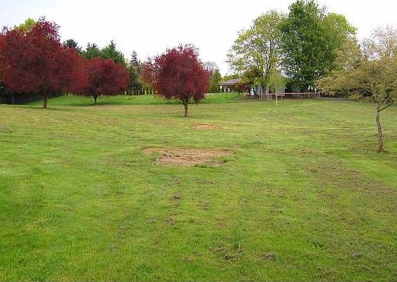 Back of Property