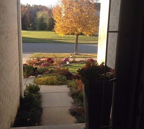 5th image of 8208 Thornhill Dr