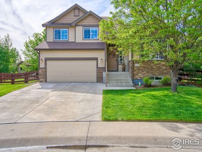 2069 Vineyard Ct, Windsor, CO, 80550