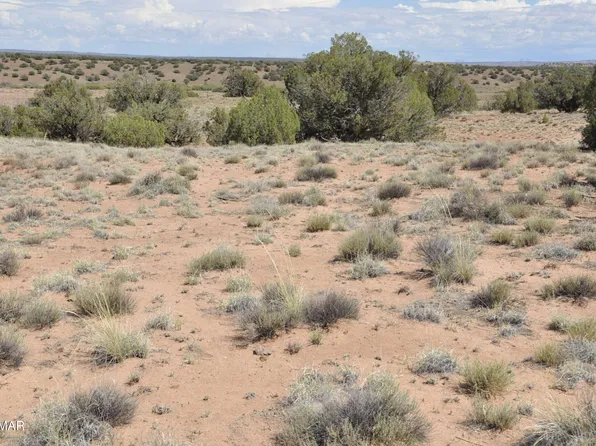 19C & D County Road N9033, Concho, AZ 85924