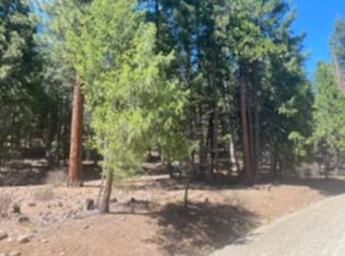 2417 Running Springs Ln, Quincy, CA 95971