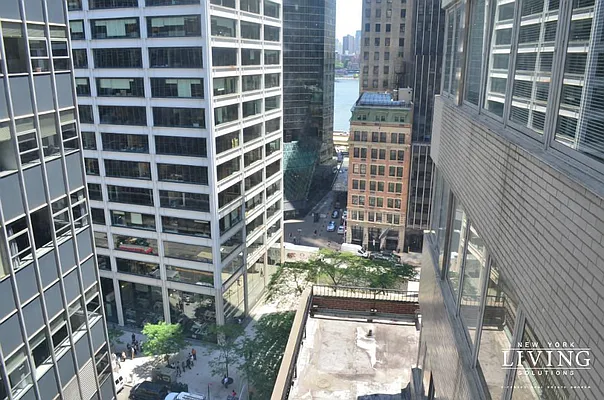 Rented by NY Living Solutions | media 1