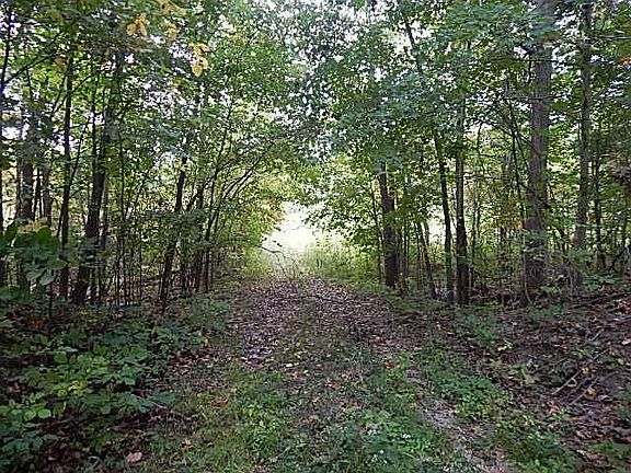 4th image of 10385 White Pine Hwy