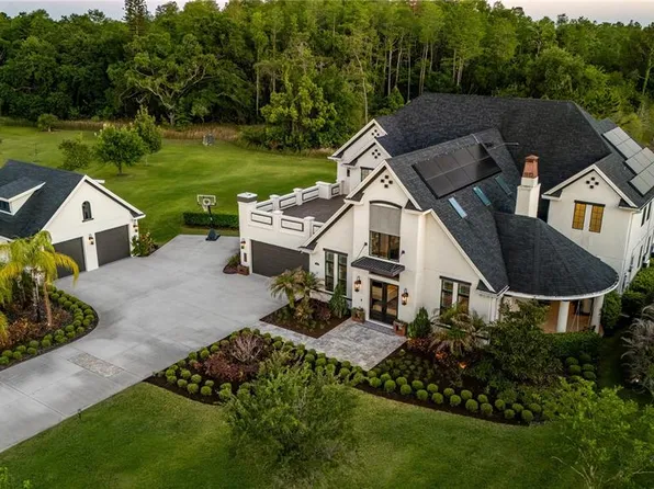 19101 Magnolia Farms Ln, Odessa, FL 33556