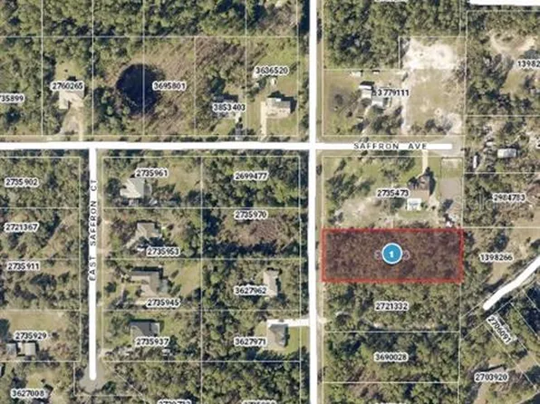 Chinaberry St Lot 12, Eustis, FL 32736