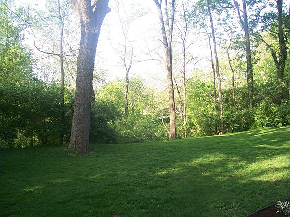 4th image of 467 Greensboro Dr
