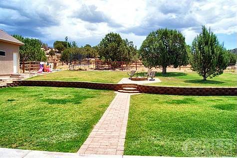 Back Yard 2