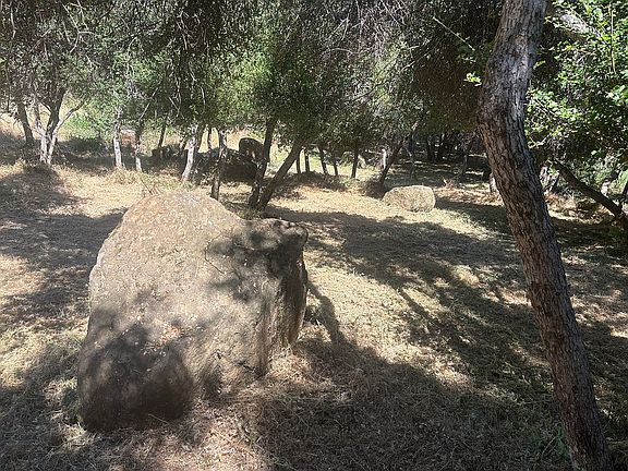 Free landscaping boulder!