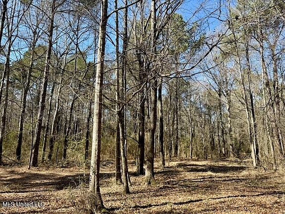 4th image of Boyd Trl NW
