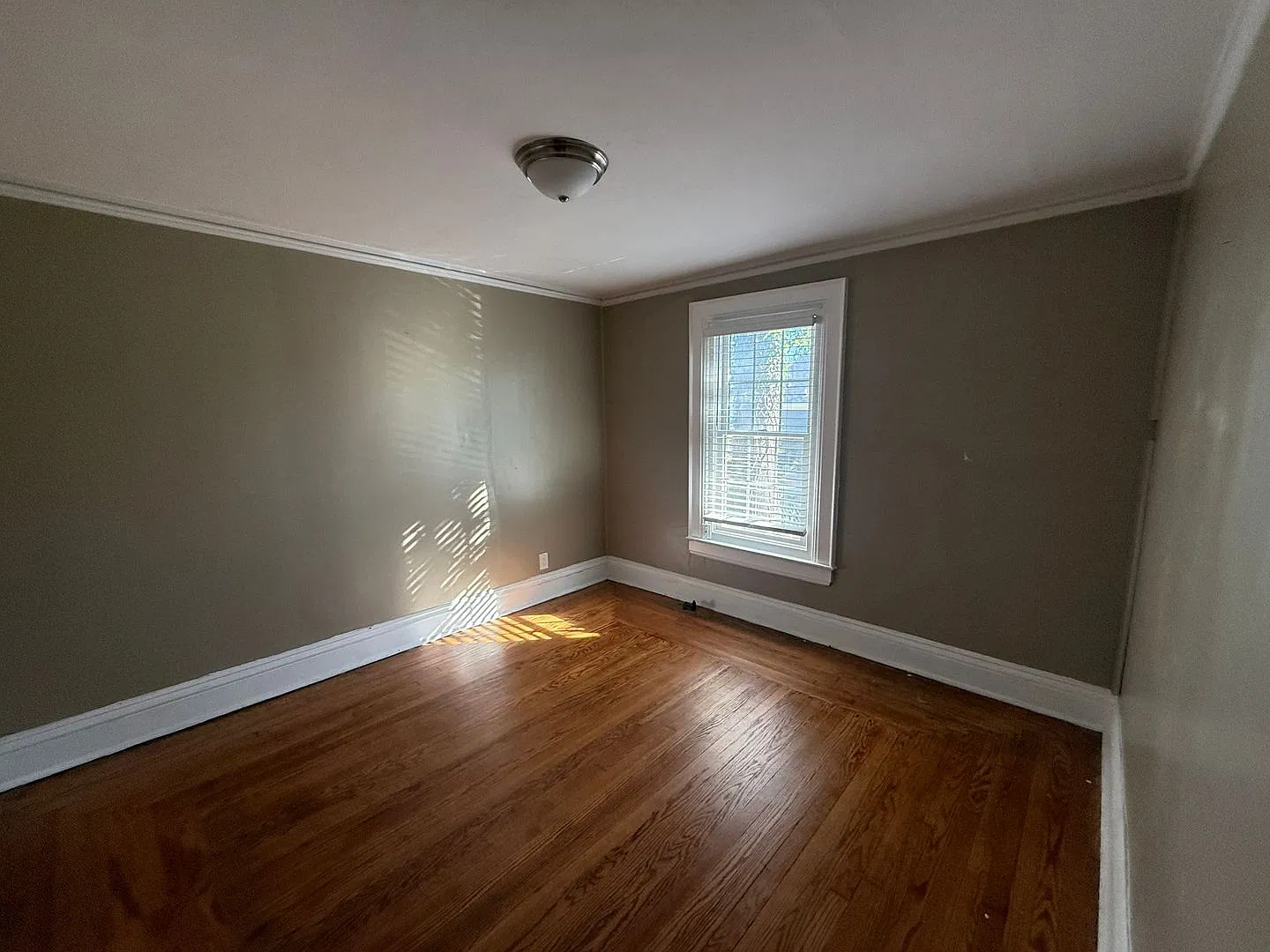 Updated & Modern 2-Bedroom Home for Rent Edgewood Area of Charleston — Photo 3