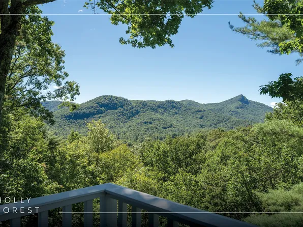 695 Tray's Island Road, Sapphire, NC 28774