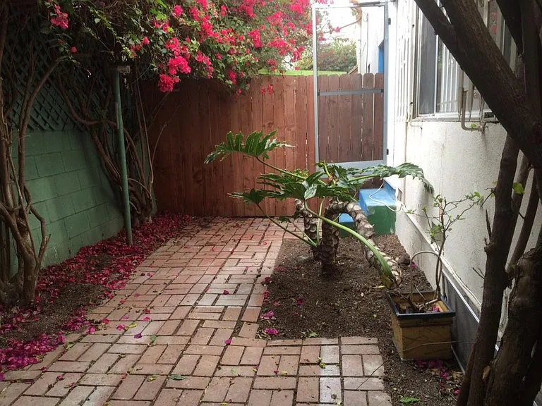 Private backyard