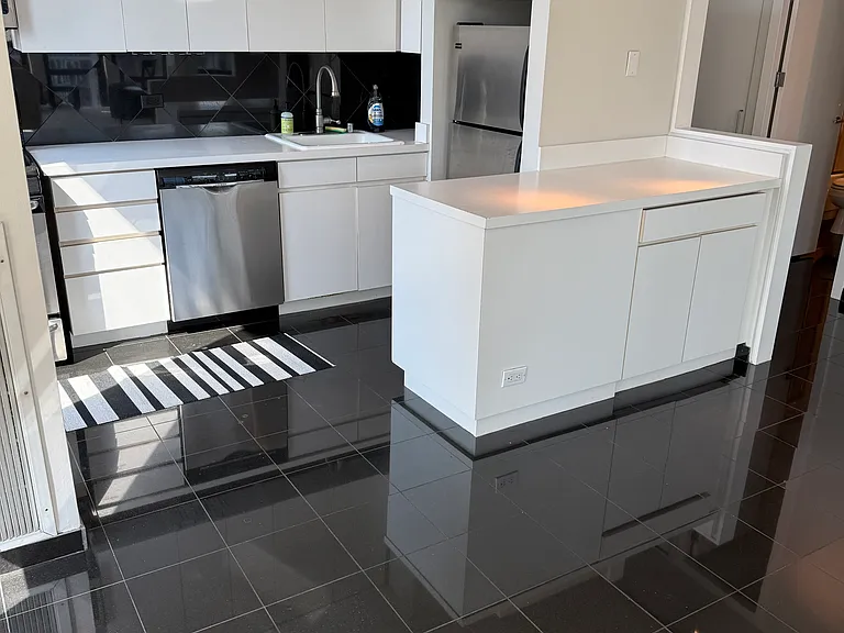 1 E Scott St #2309 — Photo 5