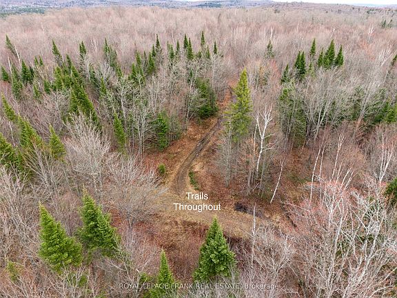 5th image of 841 McKenzie Lake Rd N