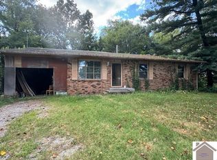 199 Ferren Rd, Ledbetter, KY 42058