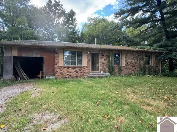 199 Ferren Rd, Ledbetter, KY 42058