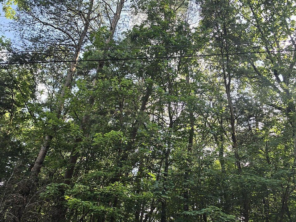 1st image of 0 Dogwood Ln
