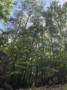 0 Dogwood Ln, Dunlap, TN, 37327