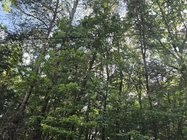 0 Dogwood Ln, Dunlap, TN 37327