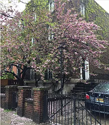 Rented by On My Own (OMO) LLC