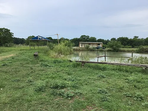 2134 FM 1875 Rd #B Photo 1