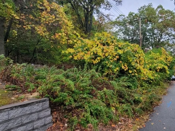 183 Valley View Dr, Rockaway Twp., NJ 07866