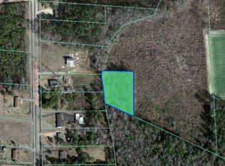 Stanley Chapel Church Rd, Mt Olive, NC 28365